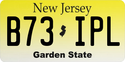 NJ license plate B73IPL