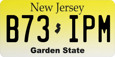 NJ license plate B73IPM