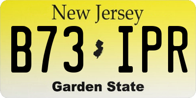 NJ license plate B73IPR