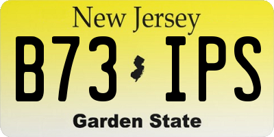 NJ license plate B73IPS