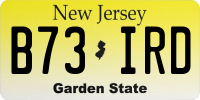 NJ license plate B73IRD