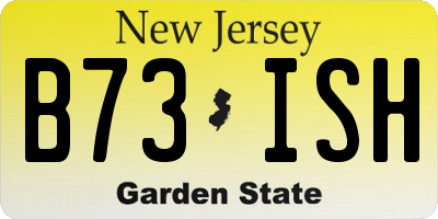 NJ license plate B73ISH