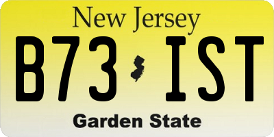 NJ license plate B73IST