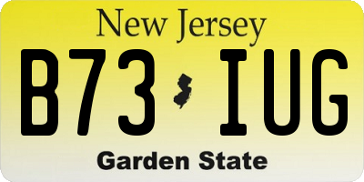 NJ license plate B73IUG