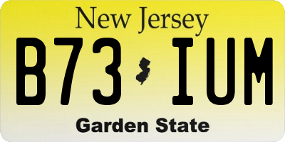 NJ license plate B73IUM