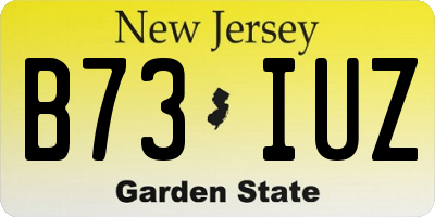 NJ license plate B73IUZ