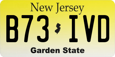 NJ license plate B73IVD