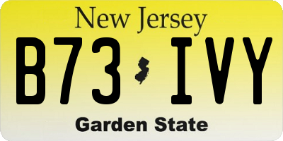 NJ license plate B73IVY