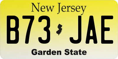 NJ license plate B73JAE