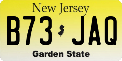 NJ license plate B73JAQ