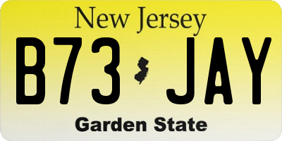 NJ license plate B73JAY