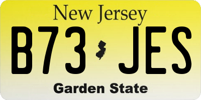 NJ license plate B73JES