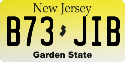NJ license plate B73JIB