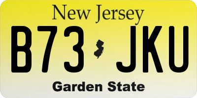 NJ license plate B73JKU