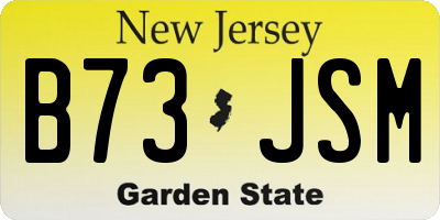 NJ license plate B73JSM