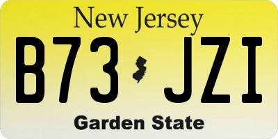 NJ license plate B73JZI
