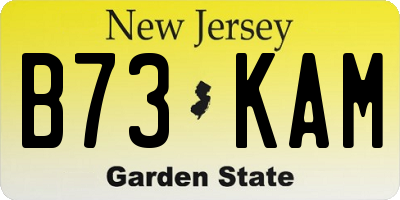 NJ license plate B73KAM