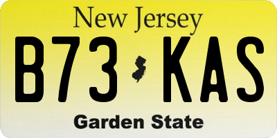 NJ license plate B73KAS