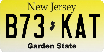 NJ license plate B73KAT