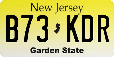 NJ license plate B73KDR
