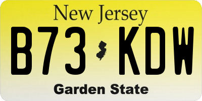 NJ license plate B73KDW