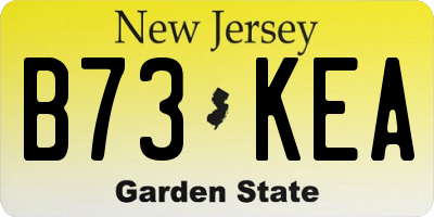 NJ license plate B73KEA