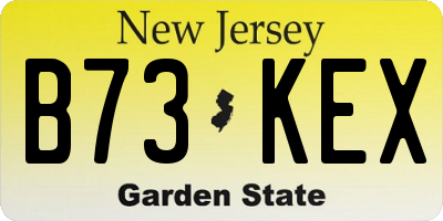 NJ license plate B73KEX