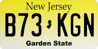 NJ license plate B73KGN
