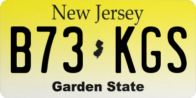 NJ license plate B73KGS