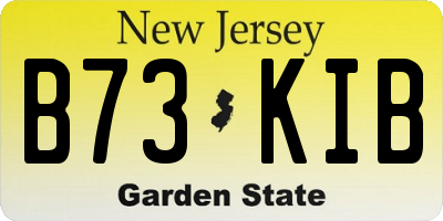 NJ license plate B73KIB