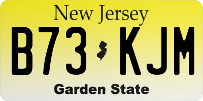 NJ license plate B73KJM