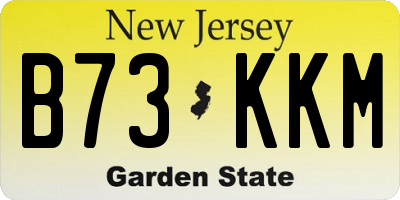 NJ license plate B73KKM