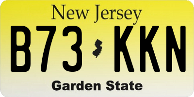 NJ license plate B73KKN