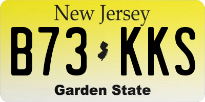 NJ license plate B73KKS