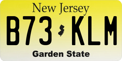 NJ license plate B73KLM