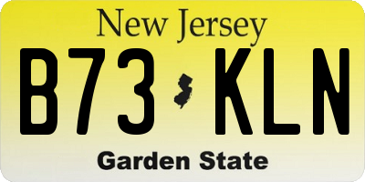 NJ license plate B73KLN