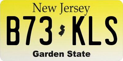 NJ license plate B73KLS