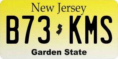 NJ license plate B73KMS