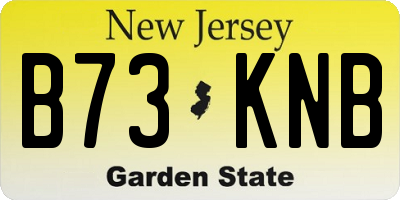 NJ license plate B73KNB