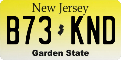 NJ license plate B73KND