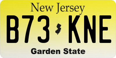 NJ license plate B73KNE