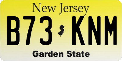 NJ license plate B73KNM