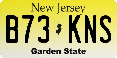 NJ license plate B73KNS
