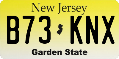 NJ license plate B73KNX