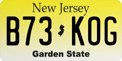 NJ license plate B73KOG