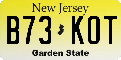 NJ license plate B73KOT