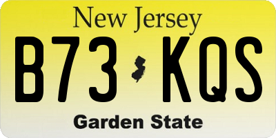 NJ license plate B73KQS