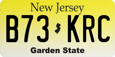 NJ license plate B73KRC