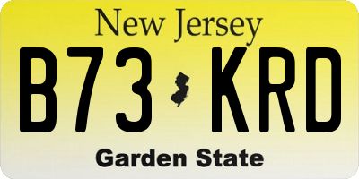 NJ license plate B73KRD