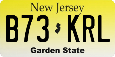 NJ license plate B73KRL